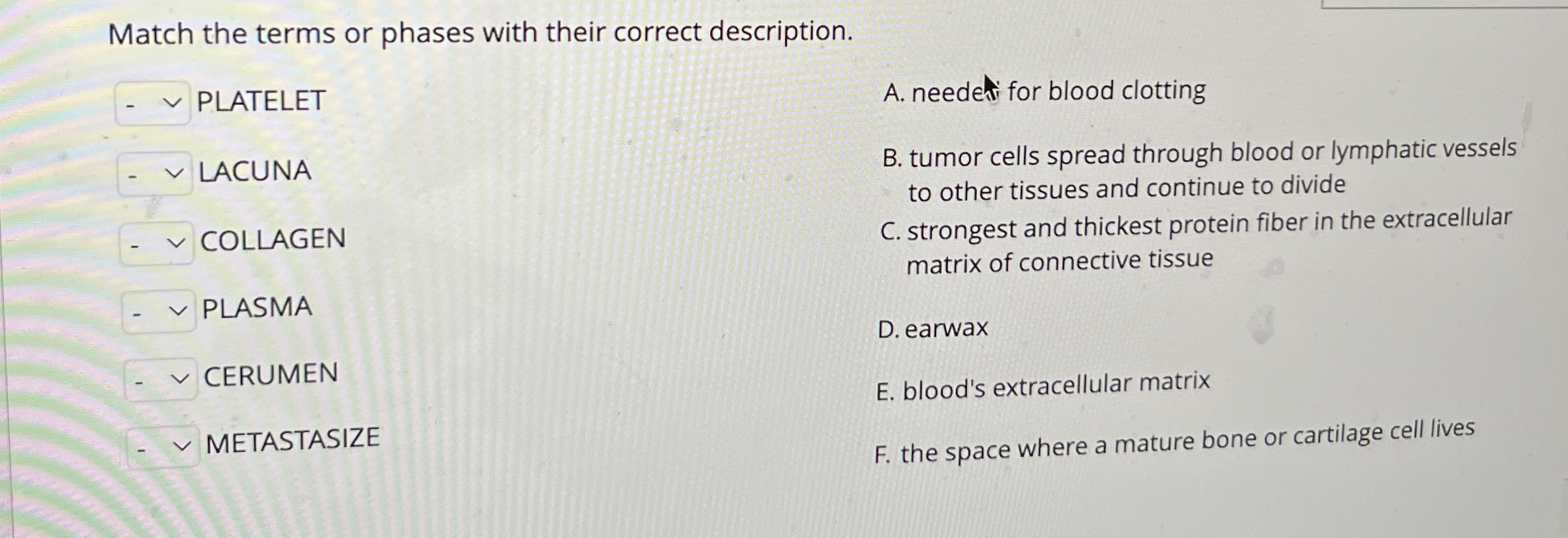 Solved Match the terms or phases with their correct | Chegg.com