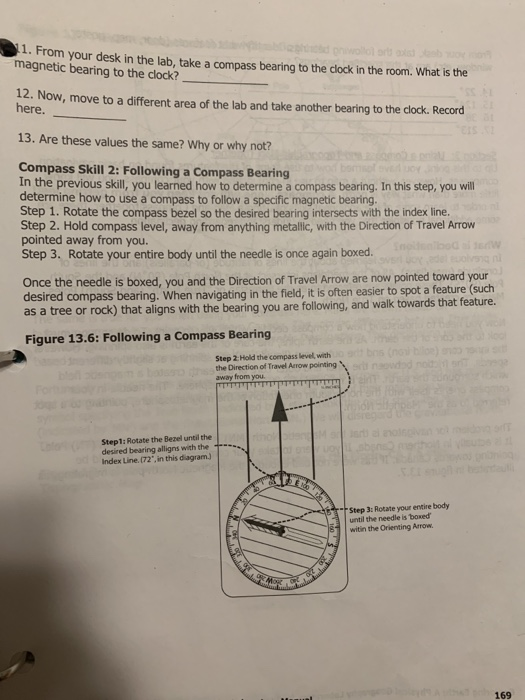 Nail care – Three Points of the Compass