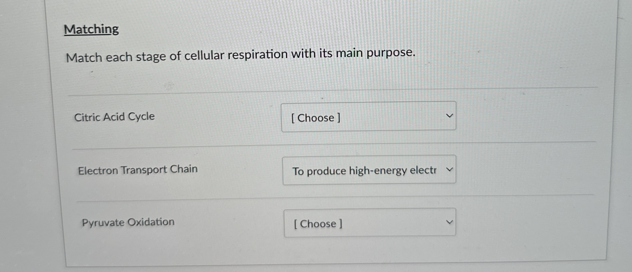 [Solved] Matching Match each stage of cellular respiration