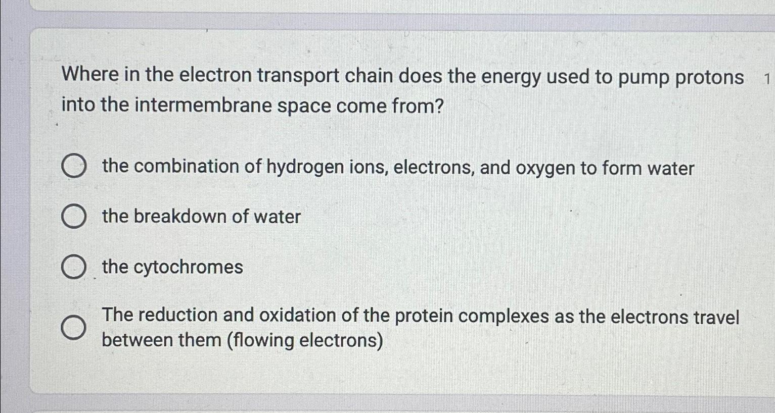 Solved Where in the electron transport chain does the energy | Chegg.com