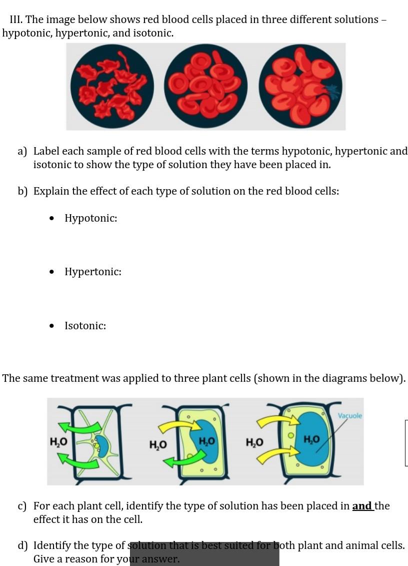 Solved III. The image below shows red blood cells placed in 