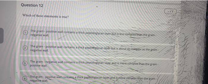 Solved Question 14 The appearance of gram-negative bacteria | Chegg.com
