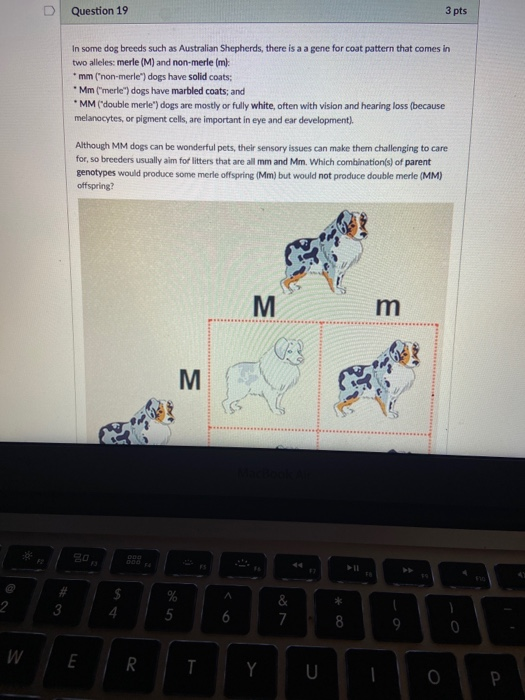 Solved Question 1 3 pts The figure below is from a journal | Chegg.com