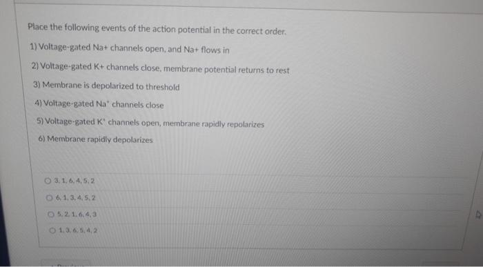 Solved Place The Following Events Of The Action Potential In | Chegg.com