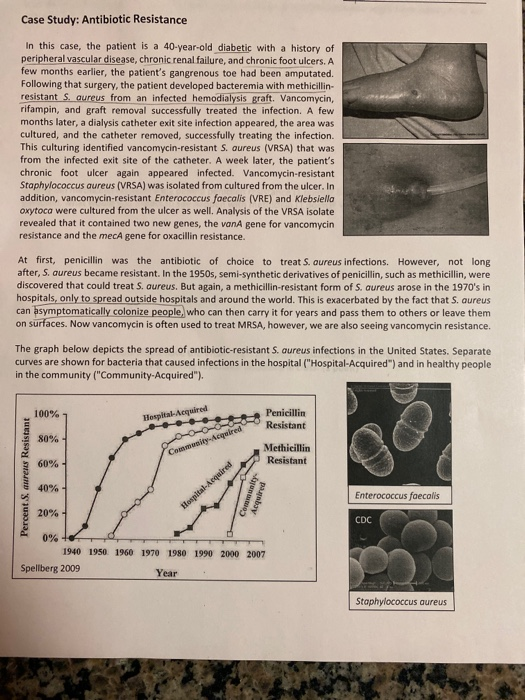 Ddt resistance in insects natural selection image