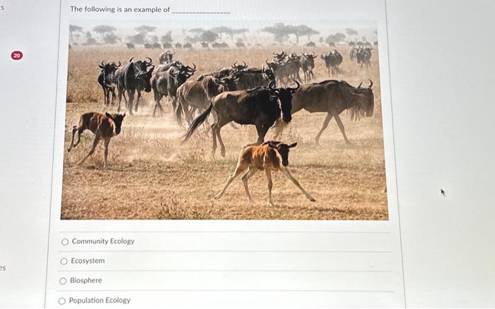 Solved The following is an example of Community Ecology | Chegg.com