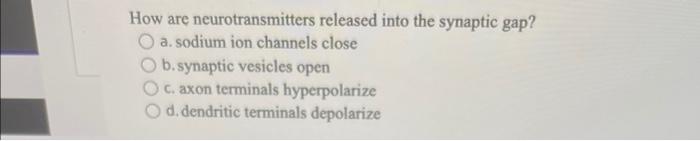 Solved How are neurotransmitters released into the synaptic | Chegg.com