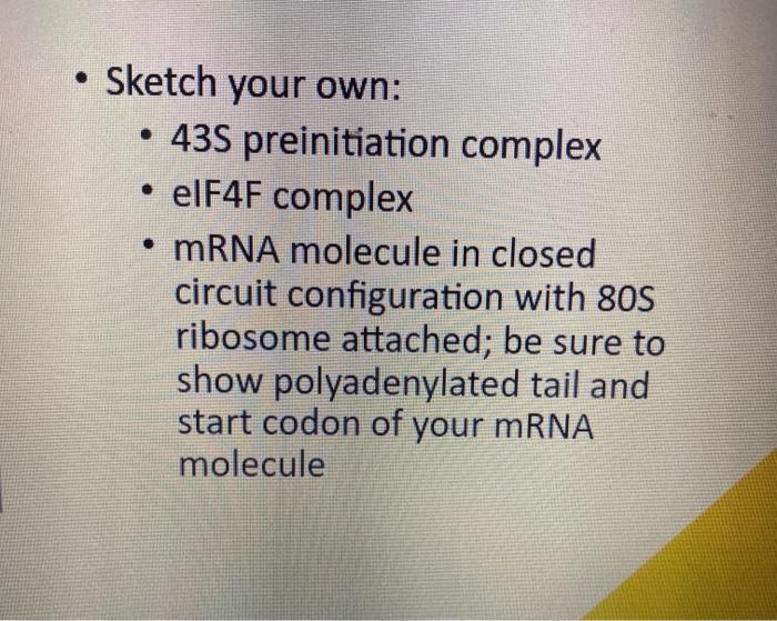 Solved Sketch Your Own: • 43S Preinitiation Complex • ElF4F | Chegg.com