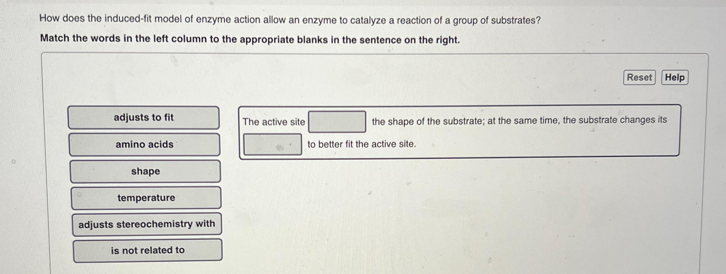 Solved How does the induced-fit model of enzyme action allow | Chegg.com