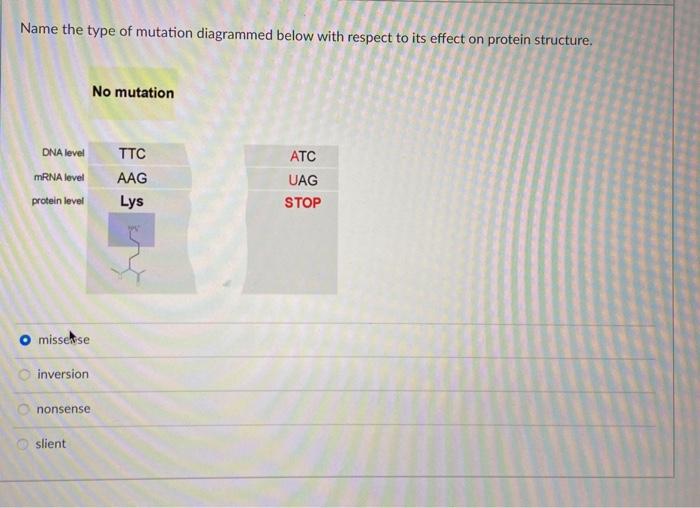 Solved Name the type of mutation diagrammed below with | Chegg.com