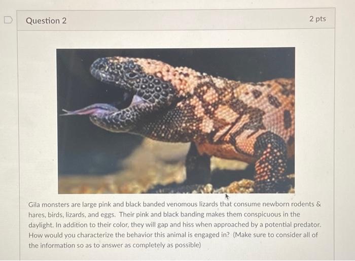 [Solved]: Gila monsters are large pink and black banded ven