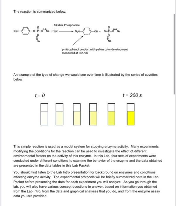 Lab 8 SPECTROPHOTOMETRIC ANALYSIS OF ENZYME