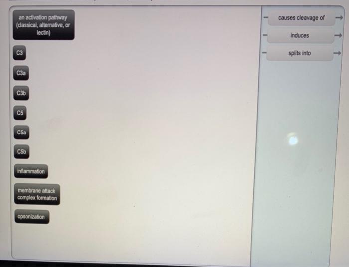 causes cleavage of an activation pathway (classical, | Chegg.com