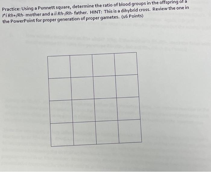 Solved Practice: Using a Punnett square, determine the ratio | Chegg.com