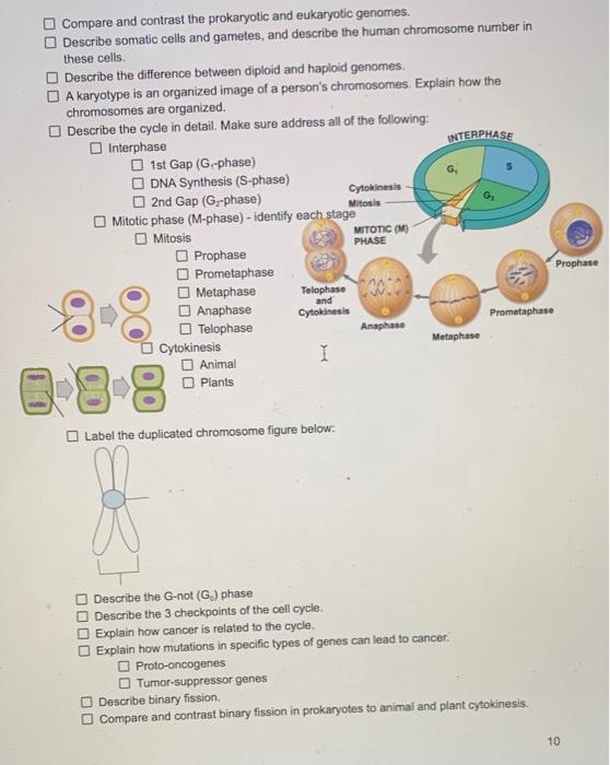Solved DO Compare and contrast the prokaryotic and | Chegg.com