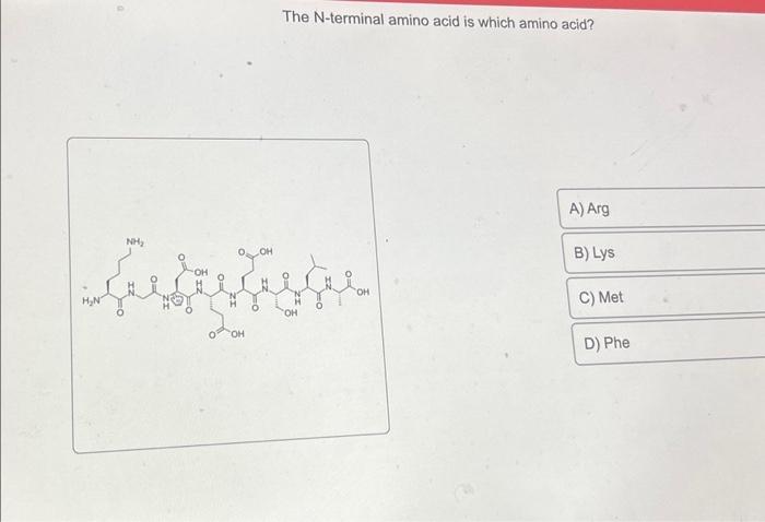Solved H₂N NH₂ OH OH OH The N-terminal amino acid is which | Chegg.com