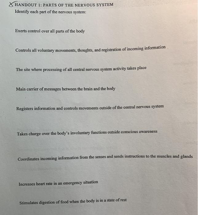 Solved Handout 1 Parts Of The Nervous System Identify Each Chegg Solved Handout 1 Parts Of The Nervous System Identify Each Chegg
