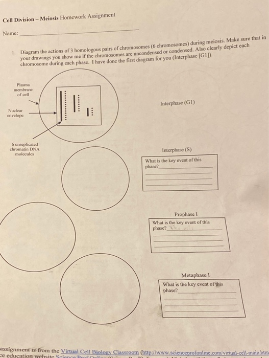 biology homework answers