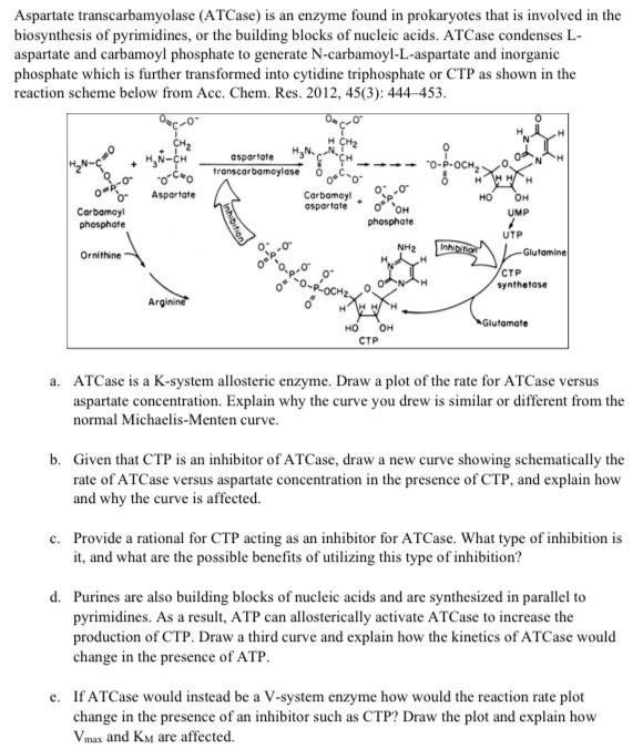 Aspartate transcarbamyolase (ATCase) is an enzyme | Chegg.com