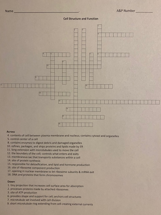 Solved A&P Number Name Cell Structure and Function Across 4. | Chegg.com