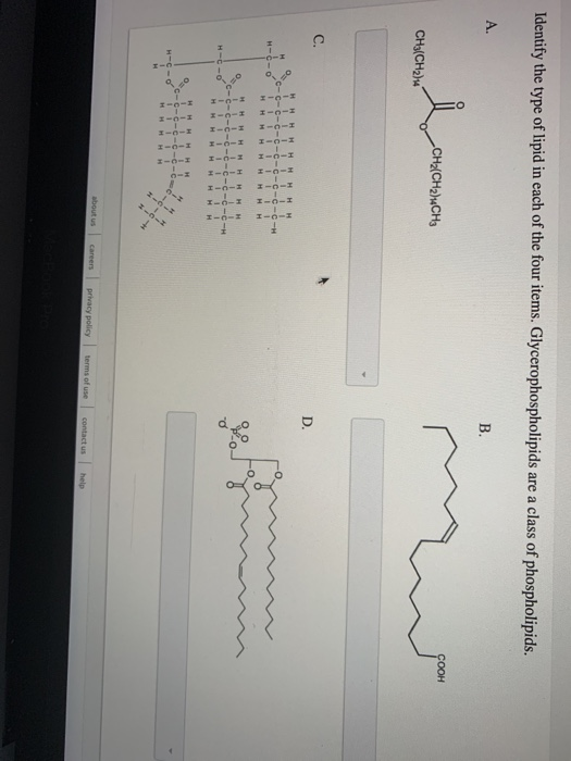 Solved Identify the type of lipid in each of the four items. | Chegg.com