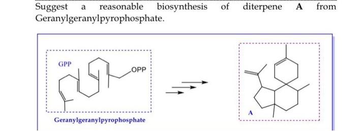 Suggest a reasonable biosynthesis
Geranylgeranylpyrophosphate.
GPP
OPP
Geranylgeranylpyrophosphate
of diterpene A
from