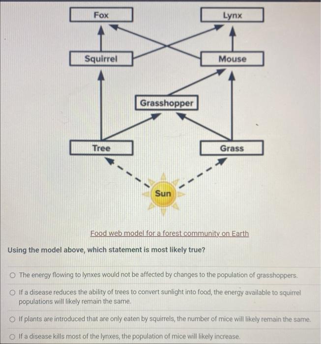 Solved Food web model for a forest community on Earth Using | Chegg.com