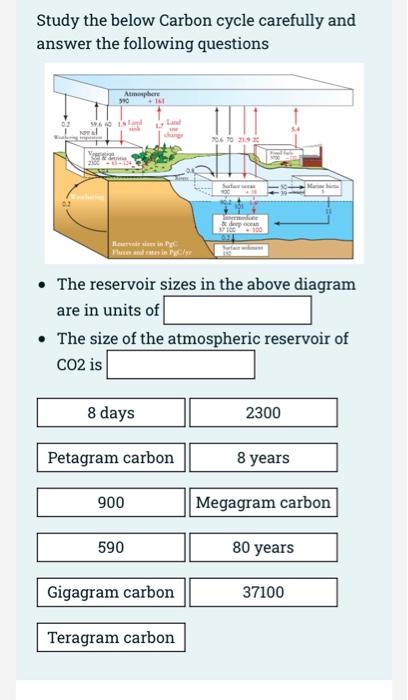 Solved [20 pts] Study the below Carbon cycle carefully and | Chegg.com
