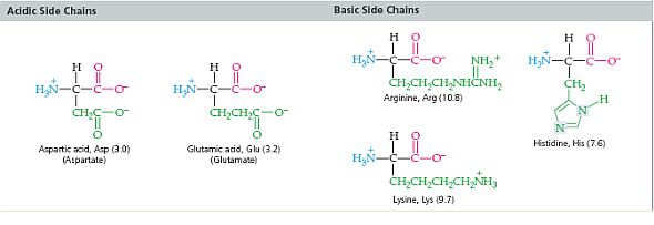 solved-look-at-table-and-identify-the-type-of-noncovalent-inte