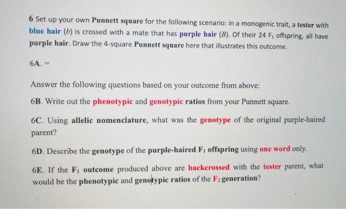 Solved 6 Set up your own Punnett square for the following | Chegg.com
