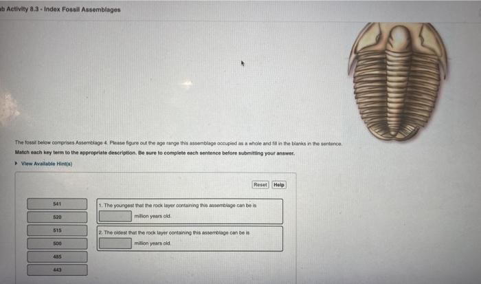 Solved ab Activity  - Index Fossil Assemblages The fossil 