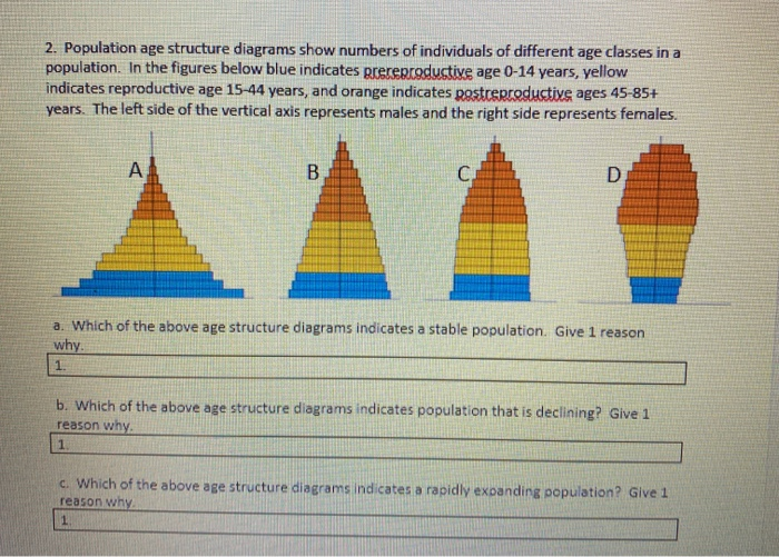 38-population-age-structure-diagram-diagram-for-you