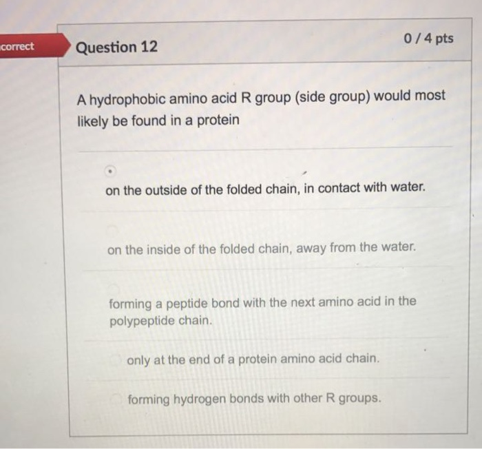 Solved 0 4 Pts Correct Question 12 A Hydrophobic Amino Ac Chegg Com