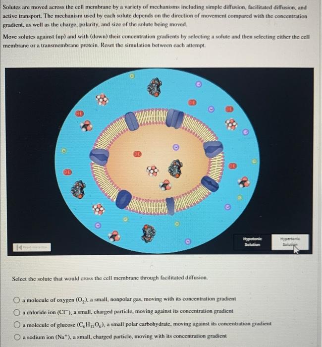 Solutes Are Moved Across The Cell Membrane By A | Chegg.com