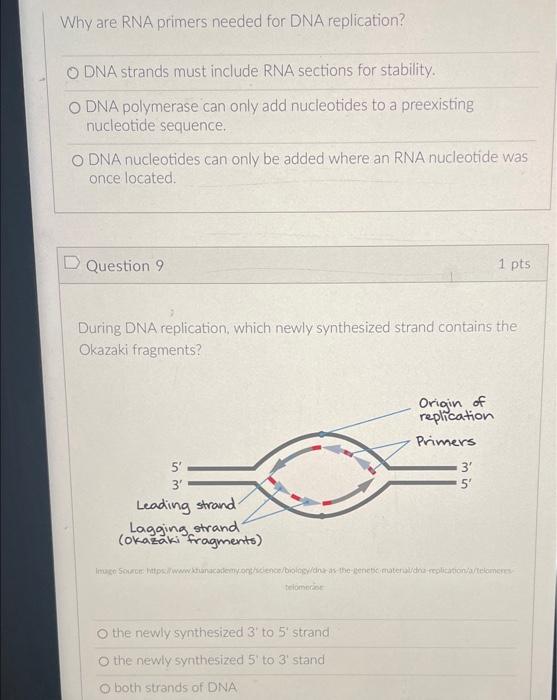 Solved Why are RNA primers needed for DNA replication? DNA
