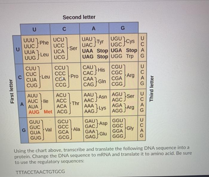 Solved Second Letter U с A G Uau] Tyt }tyr Ugc Cys Uuu Ucu