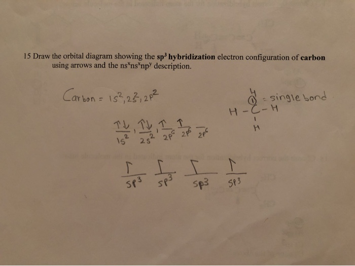 Solved 15 Draw the orbital diagram showing the | Chegg.com