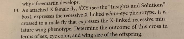 Solved Why A Freemartin Develops 13 An Attached X Female Chegg Com