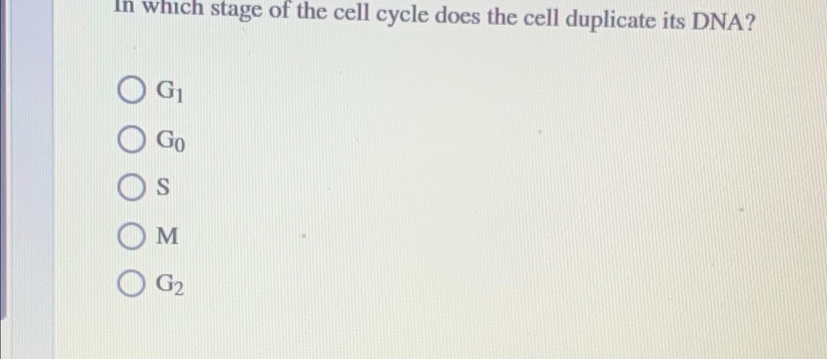 Solved In which stage of the cell cycle does the cell | Chegg.com