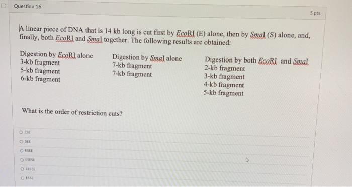 Solved Question 16 5 pts A linear piece of DNA that is 14 kb | Chegg.com