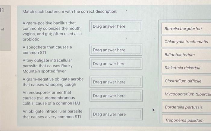 Solved 11 Match each bacterium with the correct description. | Chegg.com