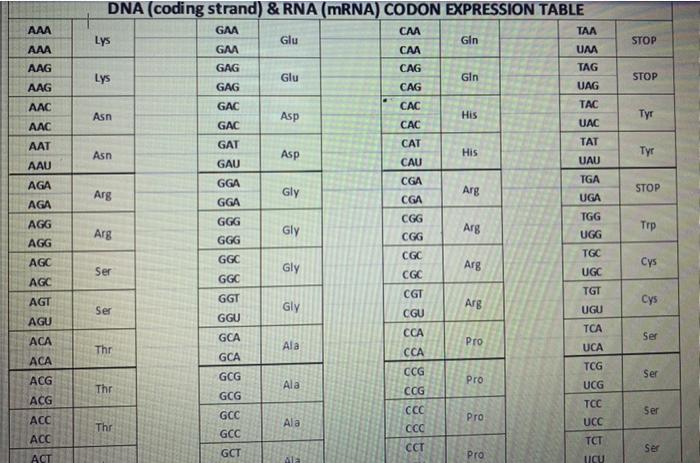 Solved Coding Strand Template Stand mRNA TRNA Amino Acid | Chegg.com