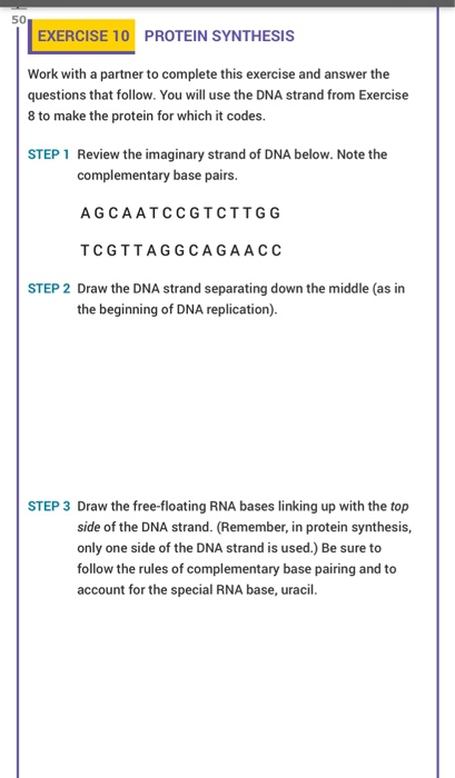 complementary base pairing rna