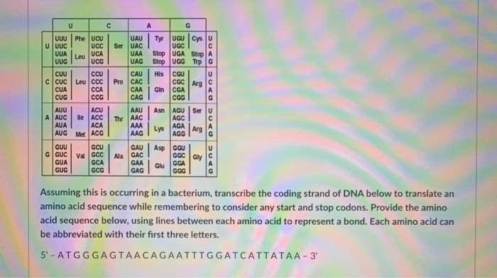 Solved Use the following nucleotide sequence of this DNA | Chegg.com