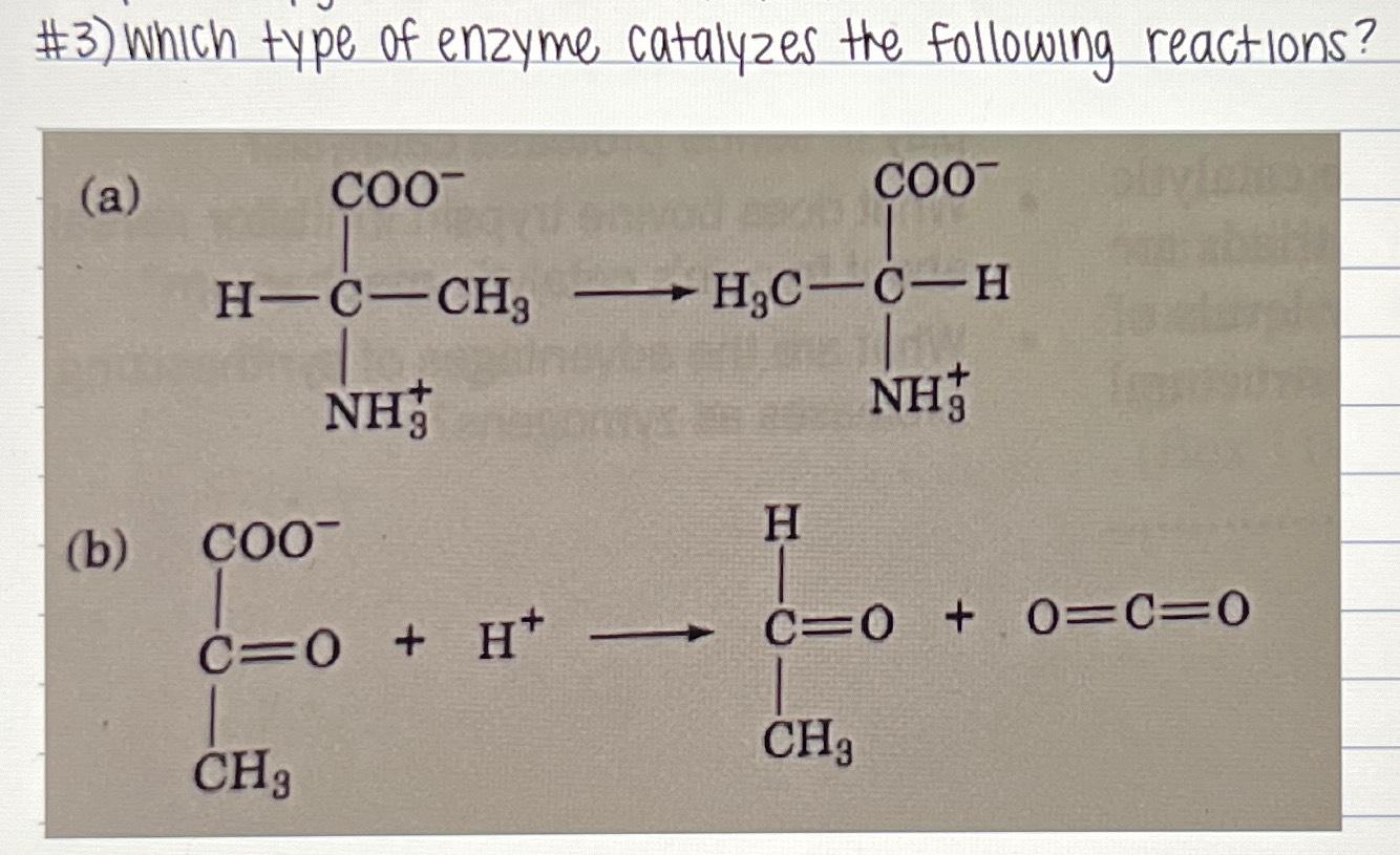 Solved 3) ﻿Which type of enzyme catalyzes the following