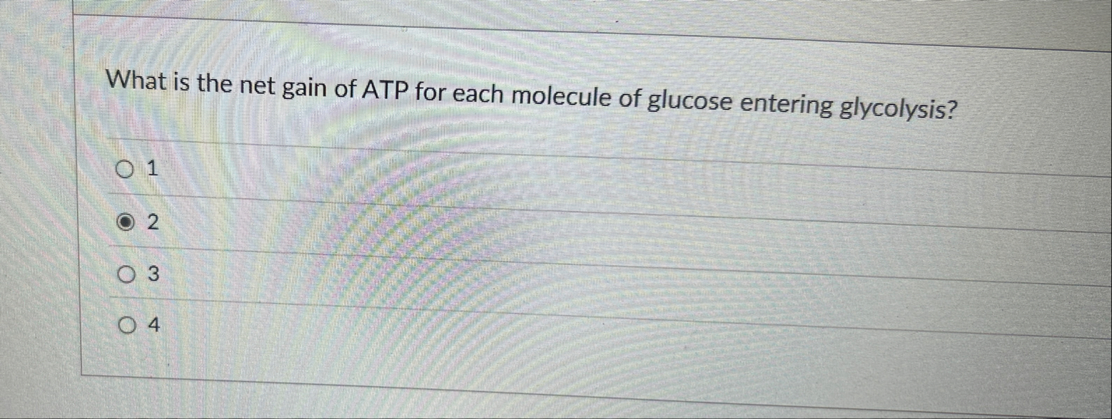 Solved What is the net gain of ATP for each molecule of | Chegg.com