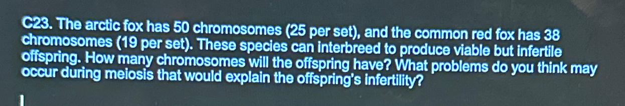 Solved The arctic fox has 50 ﻿chromosomes ( 25 ﻿per set), | Chegg.com