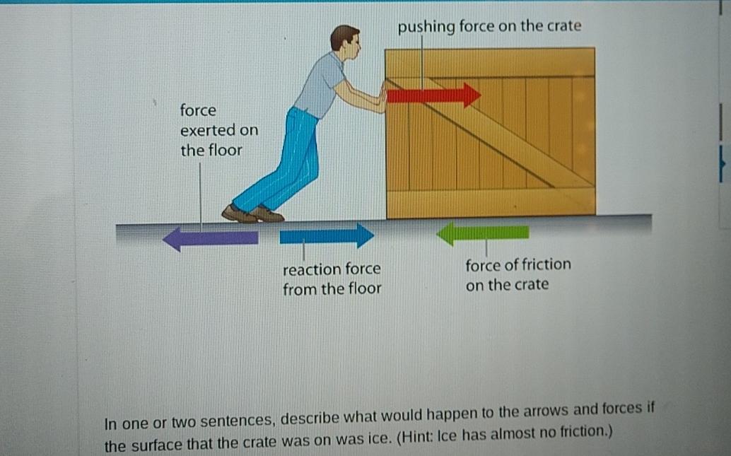 Solved In one or two sentences, describe what would happen | Chegg.com