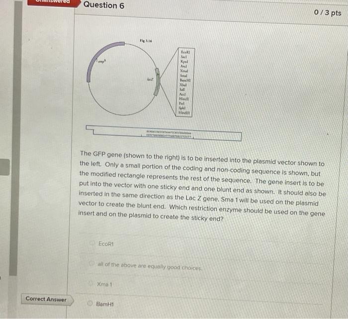 Solved Above (right) shows a portion of the Green | Chegg.com