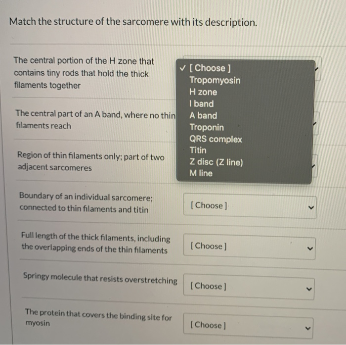Solved Match the structure of the with its